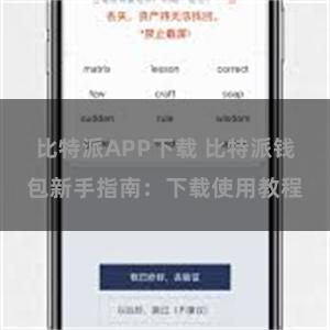 比特派APP下载 比特派钱包新手指南：下载使用教程