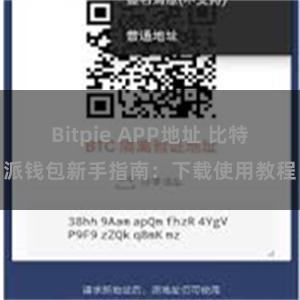 Bitpie APP地址 比特派钱包新手指南：下载使用教程