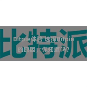 Bitpie体验 选择Bitpie的原因，你知道吗？