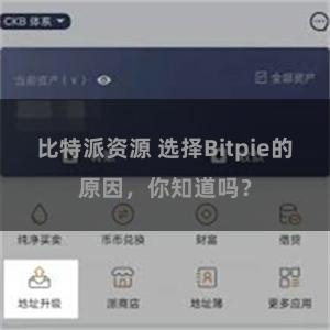 比特派资源 选择Bitpie的原因，你知道吗？