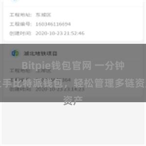 Bitpie钱包官网 一分钟上手比特派钱包，轻松管理多链资产