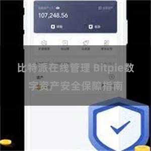 比特派在线管理 Bitpie数字资产安全保障指南