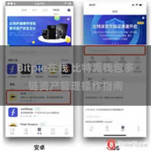 Bitpie在线 比特派钱包多链资产管理操作指南