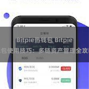 Bitpie热钱包 Bitpie钱包使用技巧：多链资产管理全攻略