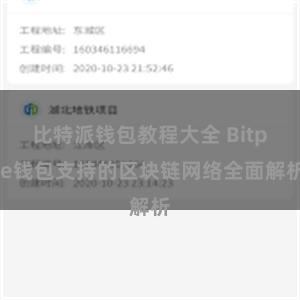 比特派钱包教程大全 Bitpie钱包支持的区块链网络全面解析