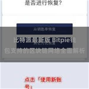 比特派最新版 Bitpie钱包支持的区块链网络全面解析