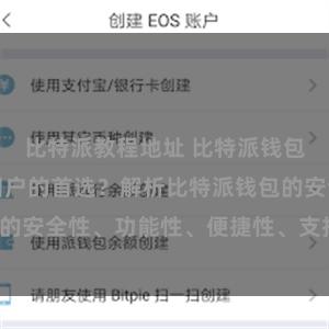 比特派教程地址 比特派钱包为何是专业用户的首选？解析比特派钱包的安全性、功能性、便捷性、支持性等优势。