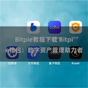 Bitpie教程下载 Bitpie钱包：数字资产管理助力者