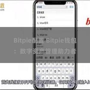 Bitpie配置 Bitpie钱包：数字资产管理助力者