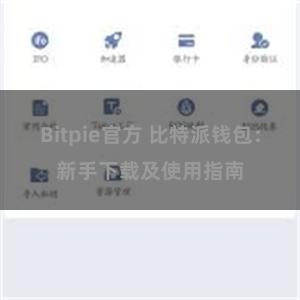 Bitpie官方 比特派钱包：新手下载及使用指南