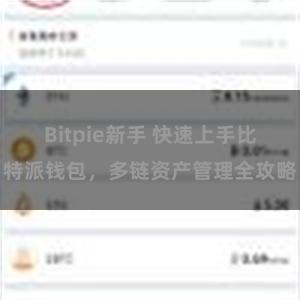 Bitpie新手 快速上手比特派钱包，多链资产管理全攻略