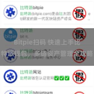 Bitpie扫码 快速上手比特派钱包，多链资产管理全攻略