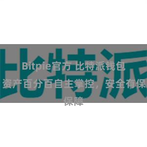 Bitpie官方 比特派钱包：资产百分百自主掌控，安全有保障