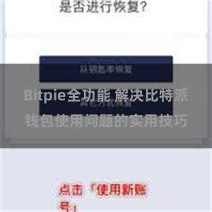 Bitpie全功能 解决比特派钱包使用问题的实用技巧