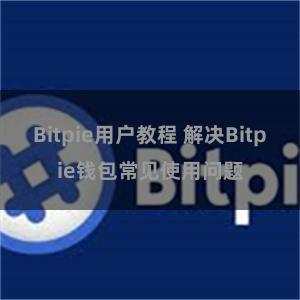 Bitpie用户教程 解决Bitpie钱包常见使用问题