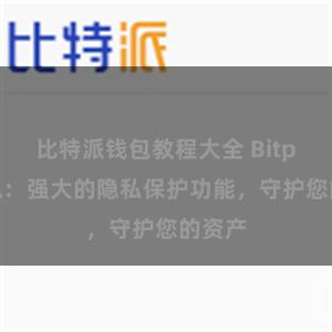 比特派钱包教程大全 Bitpie钱包：强大的隐私保护功能，守护您的资产