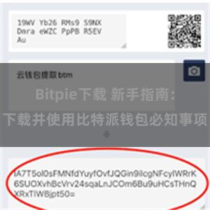 Bitpie下载 新手指南：下载并使用比特派钱包必知事项