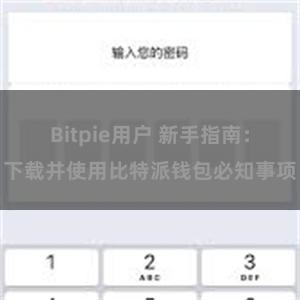 Bitpie用户 新手指南：下载并使用比特派钱包必知事项