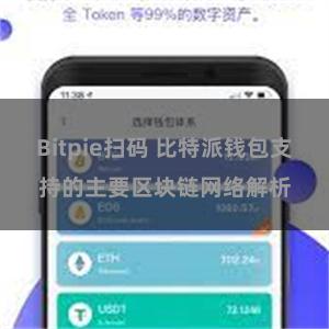 Bitpie扫码 比特派钱包支持的主要区块链网络解析