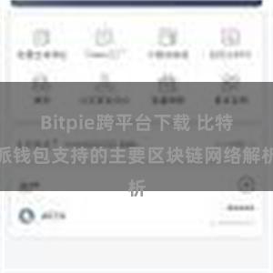 Bitpie跨平台下载 比特派钱包支持的主要区块链网络解析