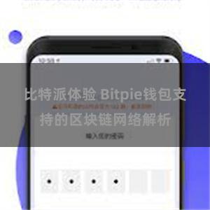 比特派体验 Bitpie钱包支持的区块链网络解析