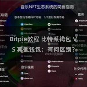 Bitpie教程 比特派钱包 VS 其他钱包：有何区别？