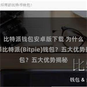 比特派钱包安卓版下载 为什么选择比特派(Bitpie)钱包？五大优势揭秘