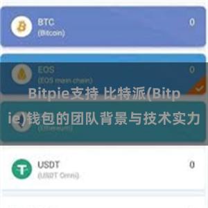 Bitpie支持 比特派(Bitpie)钱包的团队背景与技术实力