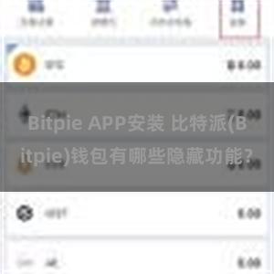 Bitpie APP安装 比特派(Bitpie)钱包有哪些隐藏功能？