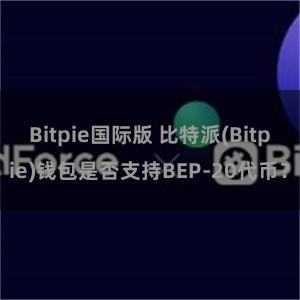 Bitpie国际版 比特派(Bitpie)钱包是否支持BEP-20代币？