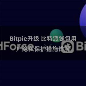 Bitpie升级 比特派钱包用户隐私保护措施详解