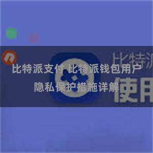 比特派支付 比特派钱包用户隐私保护措施详解