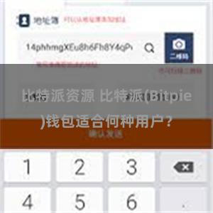 比特派资源 比特派(Bitpie)钱包适合何种用户？