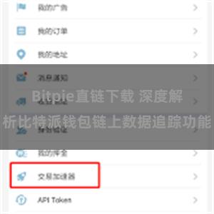 Bitpie直链下载 深度解析比特派钱包链上数据追踪功能