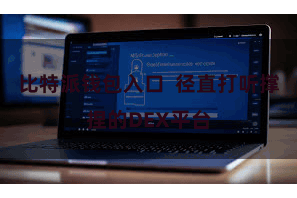 比特派钱包入口  径直打听撑捏的DEX平台