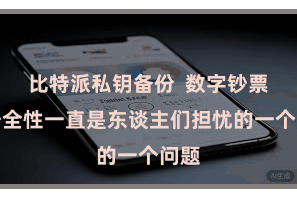 比特派私钥备份  数字钞票的安全性一直是东谈主们担忧的一个问题