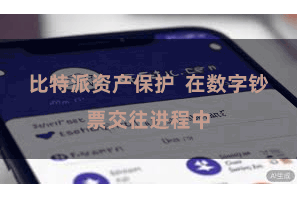 比特派资产保护  在数字钞票交往进程中