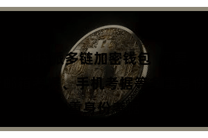 比特派多链加密钱包  需要进行邮箱考据、手机考据等多重身份考据