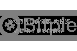 比特派钱包多链版  为投资者提供了更多的遴荐