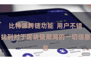 比特派跨链功能  用户不错找到对于区块链期间的一切信息