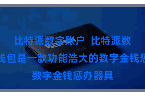 比特派数字账户  比特派数字金钱钱包是一款功能浩大的数字金钱惩办器具